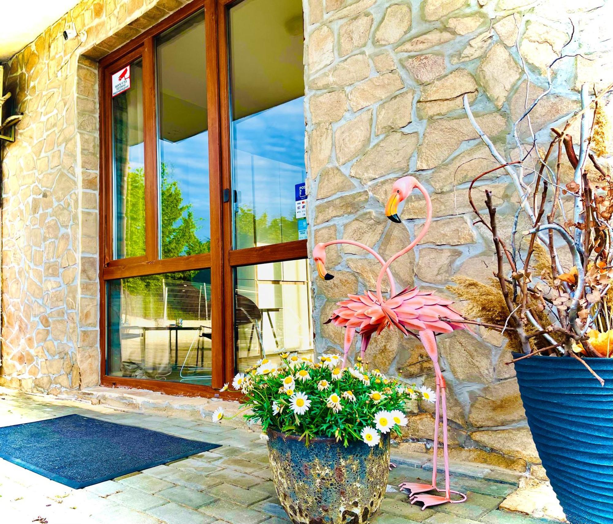 Stefaniya Apartments Sosopol Exterior foto